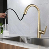Pull Out Kitchen Faucet 618004BG