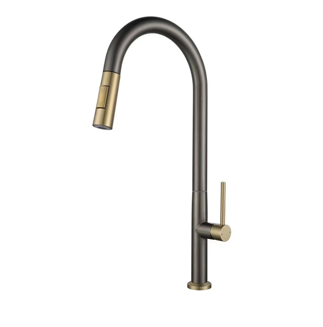 Pull Out Kitchen Faucet 618006GG
