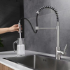 Pull Out Kitchen Faucet 618001BN