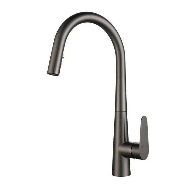 Pull Out Kitchen Faucet 618003GG