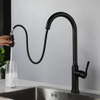 Pull Out Kitchen Faucet 618002MB