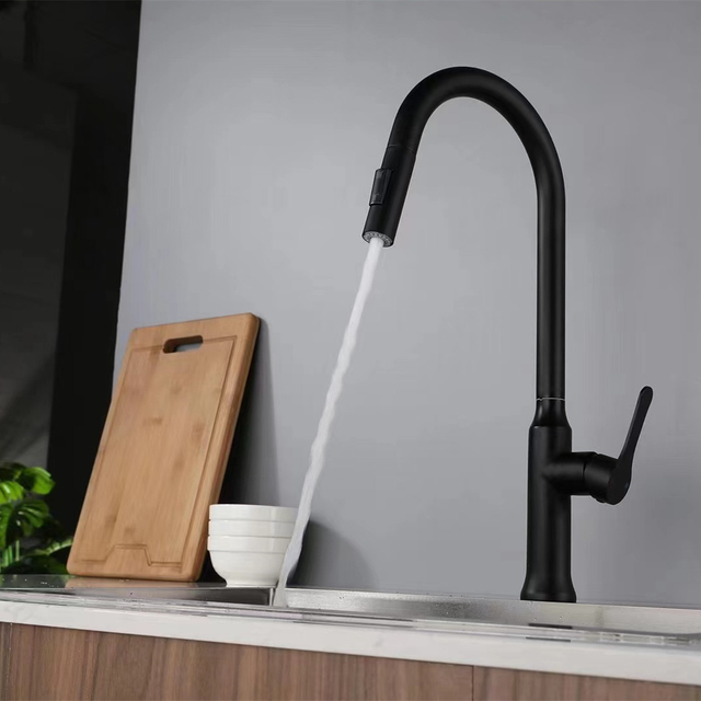 Pull Out Kitchen Faucet 618002MB