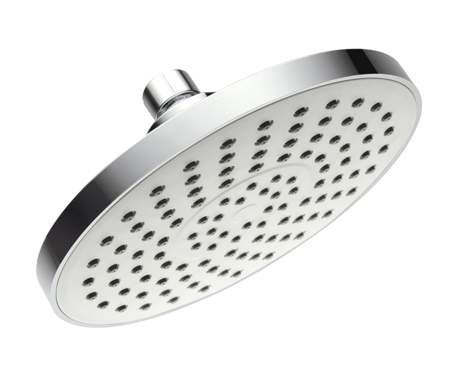 ABS Shower head B25211CP