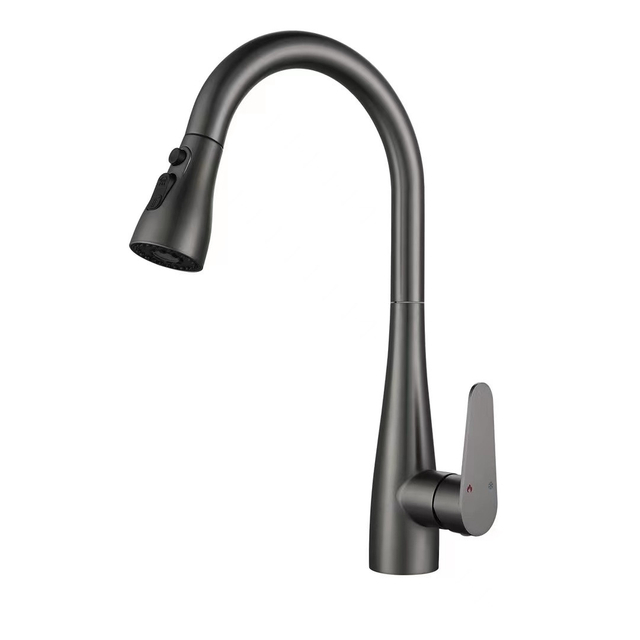 Pull Out Kitchen Faucet 618007GG